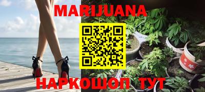 сатива Канаш
