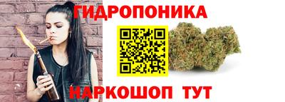 дурь Камышлов
