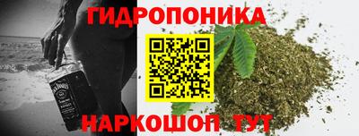 сатива Канаш