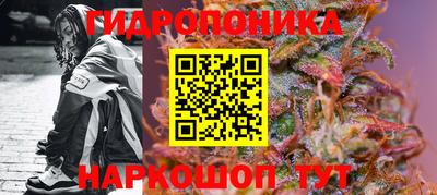 дурь Камышлов