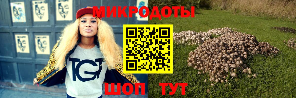 Псилоцибиновые грибы Psilocybe Лесной