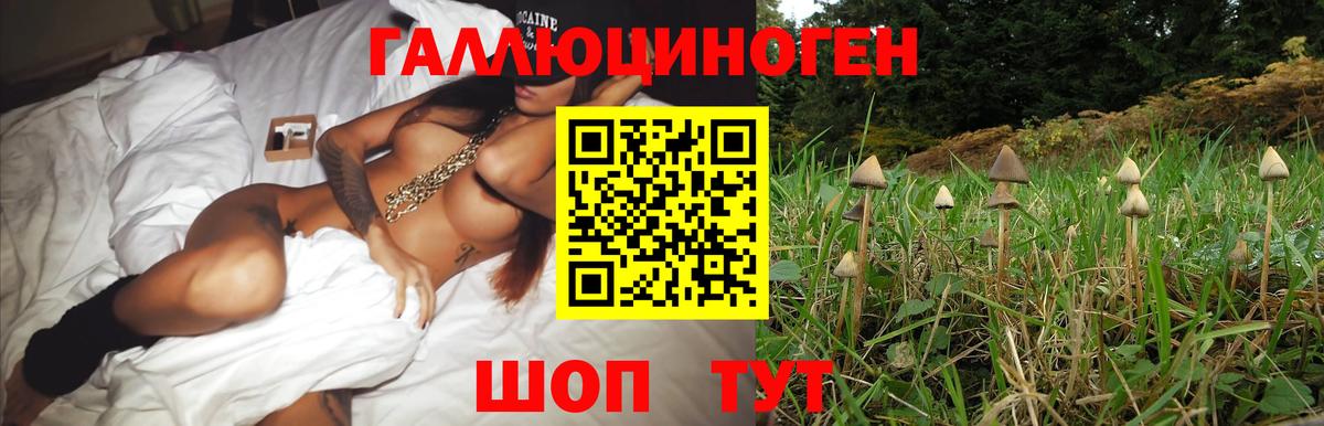 Псилоцибиновые грибы Psilocybine cubensis  как найти наркотики  Лесной  Вход с VPN 